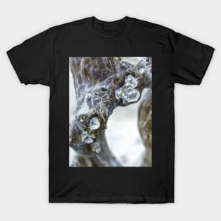 Driftwood T-Shirt